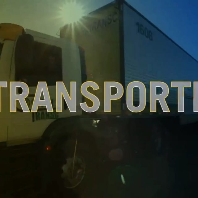 transporte